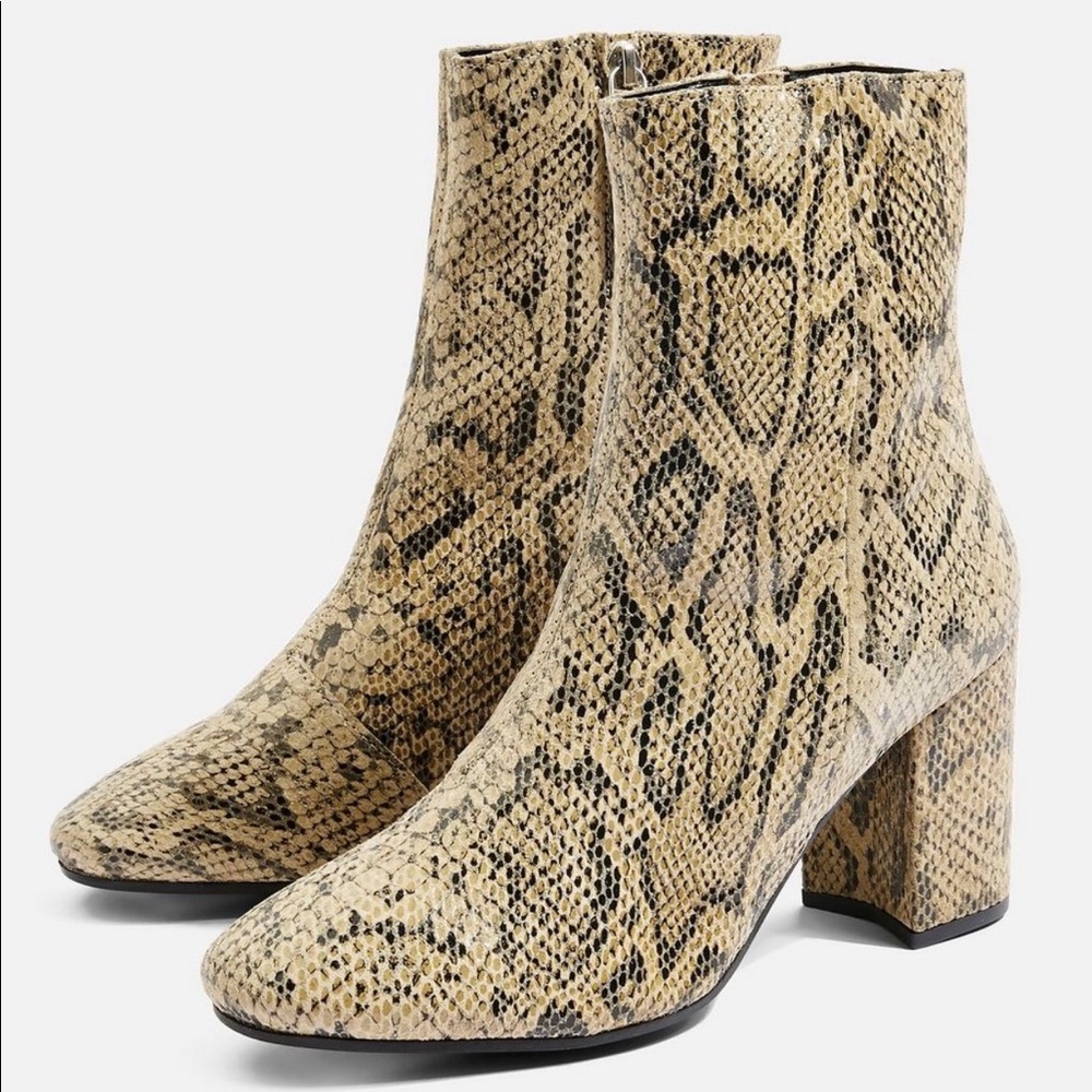 Top shop ELISE snakeskin boots in Natural